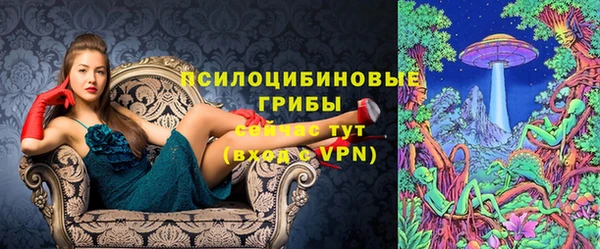 apvp Гусиноозёрск