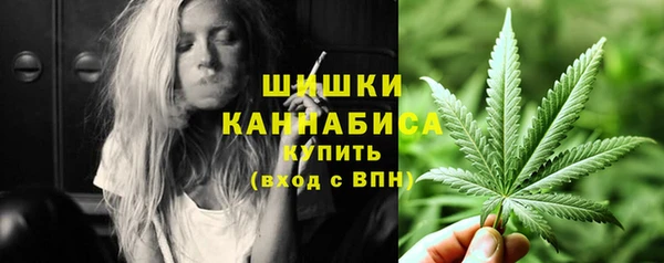 apvp Гусиноозёрск