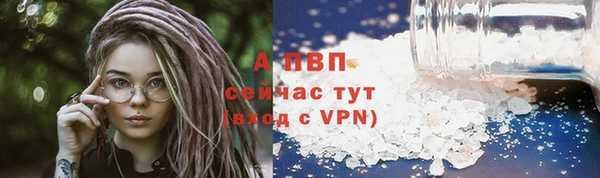 винт Дмитров
