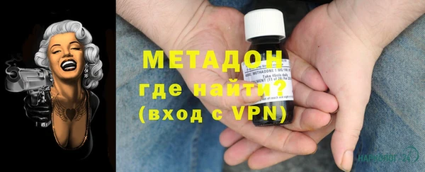 ГАЛЛЮЦИНОГЕННЫЕ ГРИБЫ Дмитриев