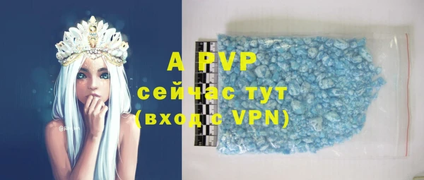 apvp Гусиноозёрск