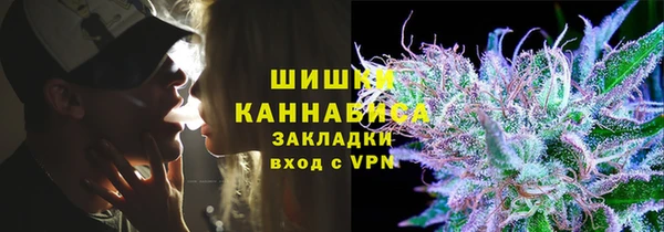 ALPHA-PVP Гусев
