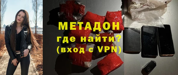 ГАЛЛЮЦИНОГЕННЫЕ ГРИБЫ Дмитриев
