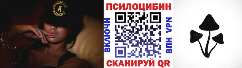 Купить где  Ковылкино  Галлюциногенные грибы Magic Shrooms 